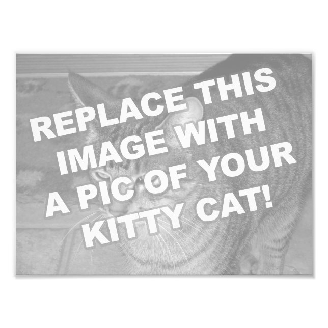 Custom Kitty Cat Photo Print (Front)