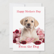Custom Labrador Puppy with Roses Mother's Day Card