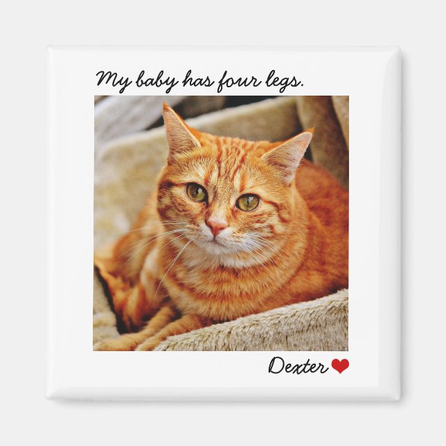 Custom Large Photo Personalised Pet Magnet (Front)
