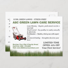 Custom  Lawn Service 