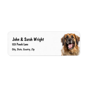 Custom Leonburger Dog Address Label