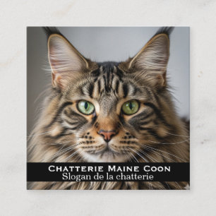 Custom Maine Coon Cattery Business Card