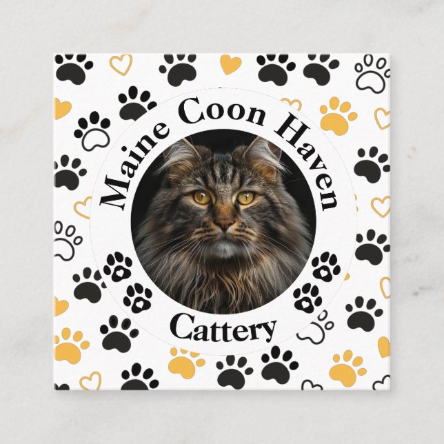 Custom Maine Coon Cattery Square Business Card  (Front)