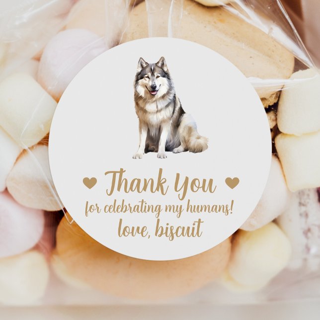 Custom Malamute Dog Wedding Favour Stickers (Creator Uploaded)