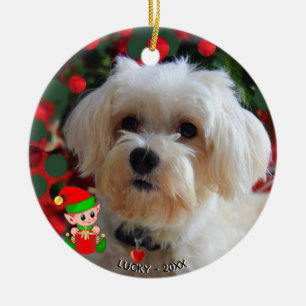 Custom Maltese Dog Photo with Cute Elf Ceramic Tree Decoration