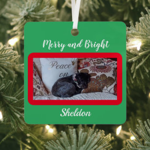 Custom Merry and Bright Red Border Pet Photo Name Metal Tree Decoration