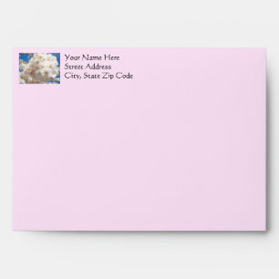 Custom Message Colour Pink Envelops Greeting Cards Envelopes