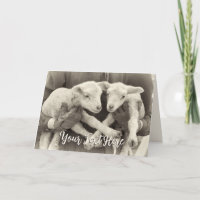 Custom Message Vintage Twin Lambs