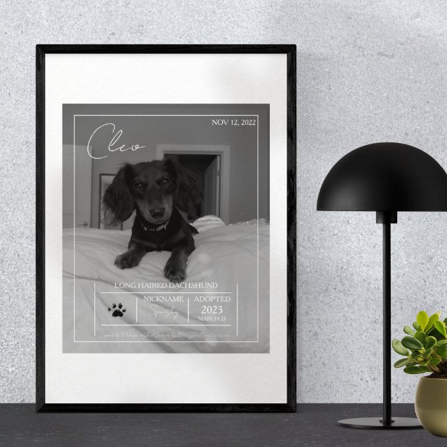 Custom Modern Pet Details Portrait Art Print (Celebrate your pet with this custom pet portrait! )