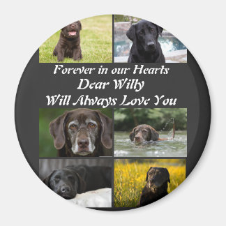 Custom modern Pet Memorial 6 Photo Collage Magnet