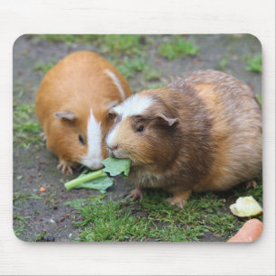 Custom Modern Pet Picture Mouse Mat