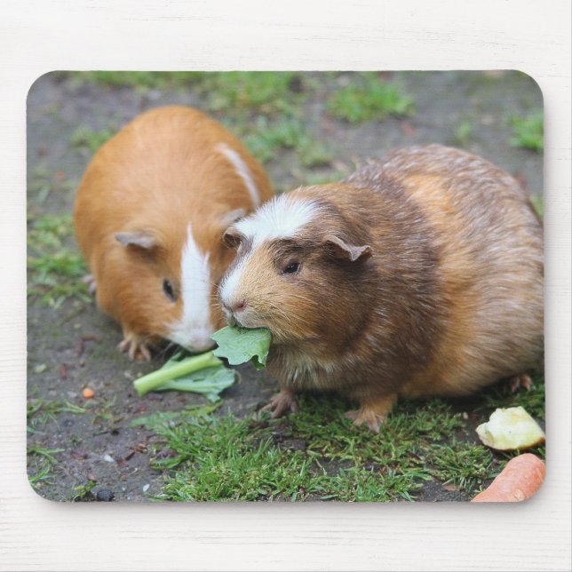 Custom Modern Pet Picture Mouse Mat (Front)