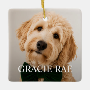 Custom Modern Simple Pet Photo Ceramic Ornament