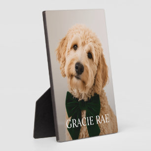 Custom Modern Simple Pet Photo Plaque