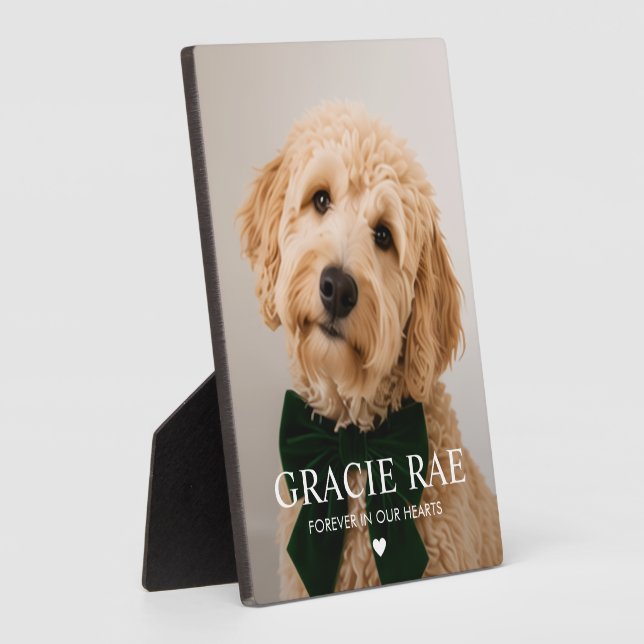 Custom Modern Simple Photo Pet Memorial Plaque (Side)