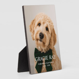 Custom Modern Simple Photo Pet Memorial Plaque