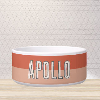Custom Modern Two Tone Pet Name