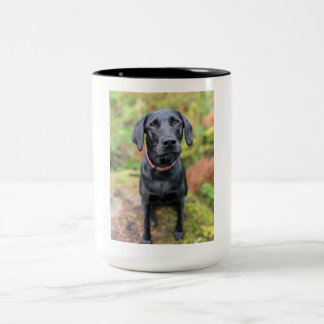 Custom Mug- Last minute gifts under $20 Two-Tone Coffee Mug