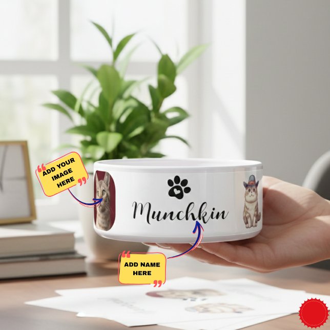 Custom Munchkin Cat Bowl with Name & Breed Design  (Custom Munchkin Cat Bowl with Name & Breed Design)