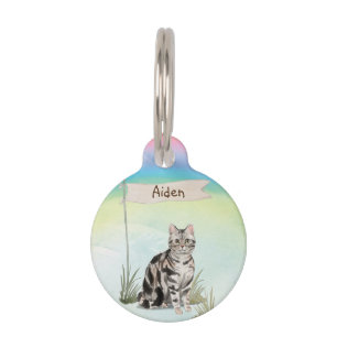 Custom Name American Short Hair Pet Cat Tag
