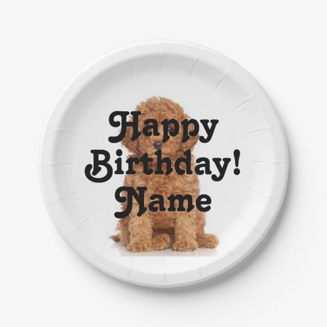 Custom name and photo Birthday Paper Plate (Front)
