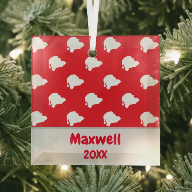 Custom name and year Santa Claus pattern Ornament (Insitu)