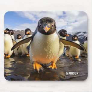 Custom Name Cool Penguins Mouse Mat