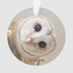 Custom Name Cute Barn Owl Ornament