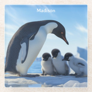 Custom Name Cute Penguins Glass Coaster