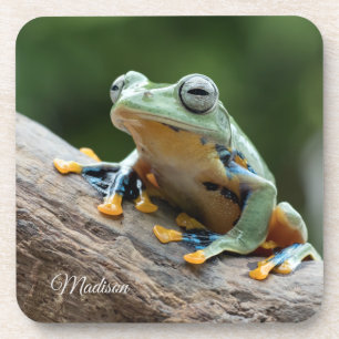 Custom name Frog coaster set
