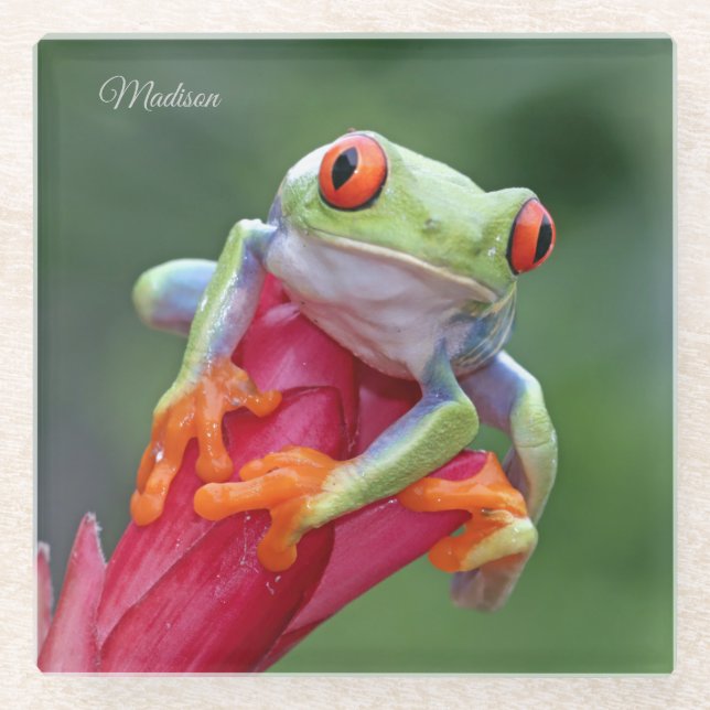 Custom name Frog Glass Coaster (Front)