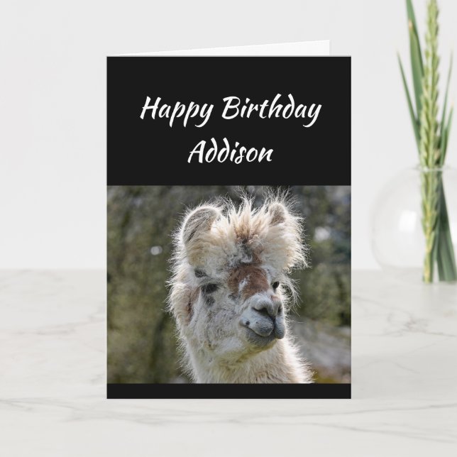 Custom Name Fun Birthday Bad Hair Llama Animal Card (Front)
