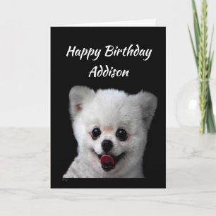 Custom Name Fun Birthday Cute Happy Dog Animal Card