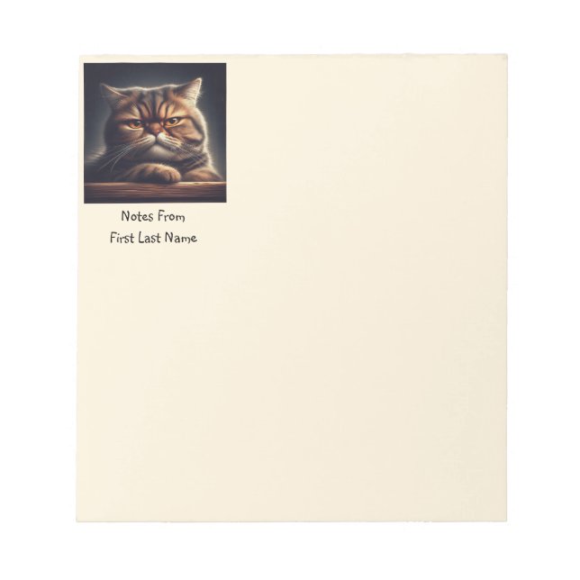 Custom Name Grumpy Grouchy Cat Kitten Pet Animal Notepad (Front)