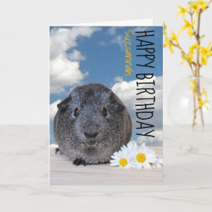 Custom Name Happy Birthday Guinea Pig White Daisy Card