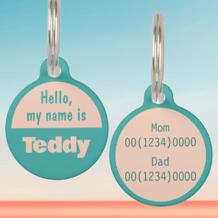 Custom Name Hello My Name Is Summer Teal Pet  Tag