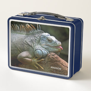 Custom Name Iguana Metal Lunch Box