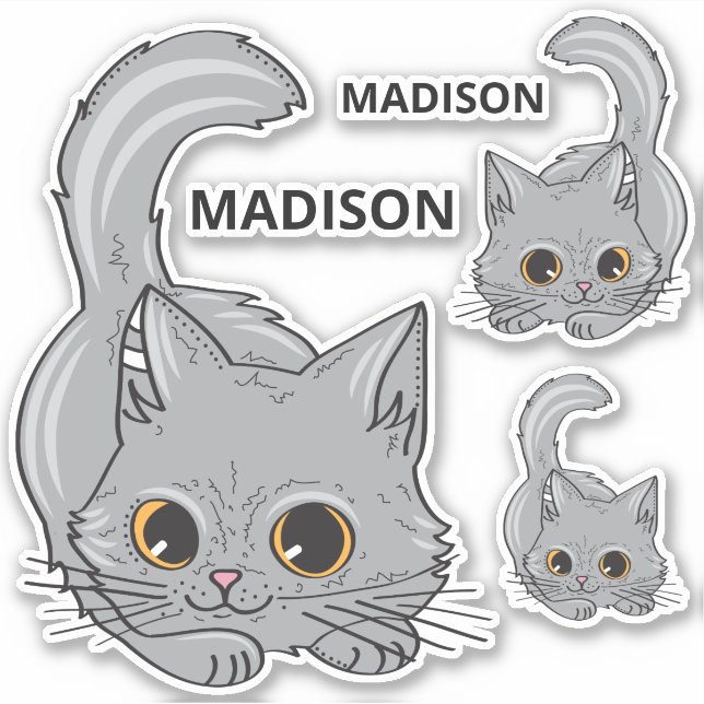 Custom name Kittens stickers (Front)