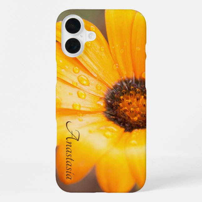Custom Name Orange Daisy Close-Up Photo iPhone Case (Back)