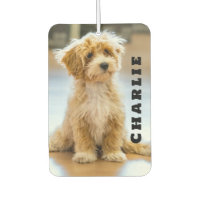 Custom Name Photo Dog Pet Lover Minimalist Cute