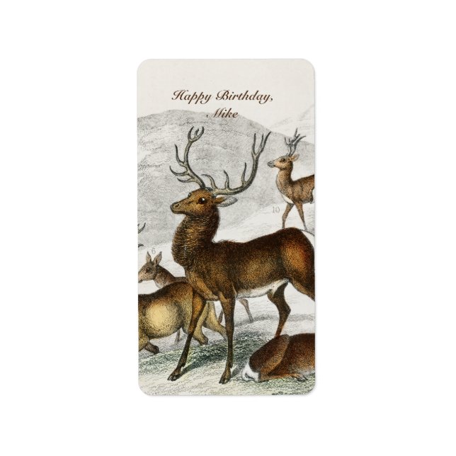 Custom Name Red Deer Hart, Hind, Roebuck Musk Deer Label (Front)