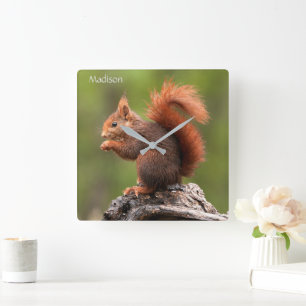 Custom Name Squirrel Square Wall Clock