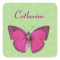 Custom Name Vintage Butterfly Coloured Background