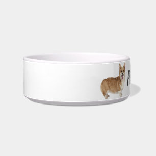 Custom Name Welsh Corgi Dog Pet Animal Bowl