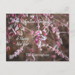 Custom name Winter Frost postcard