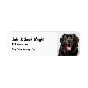 Custom Newfoundland  Dog Address Label