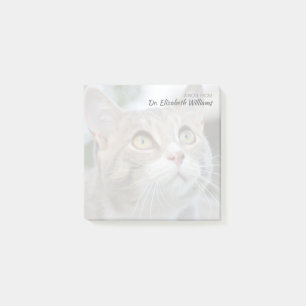 Custom Note from Veterinarian with Faded Cat Photo