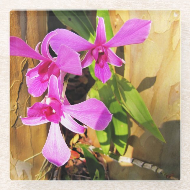 Custom Orchid Glass Coaster (Front)