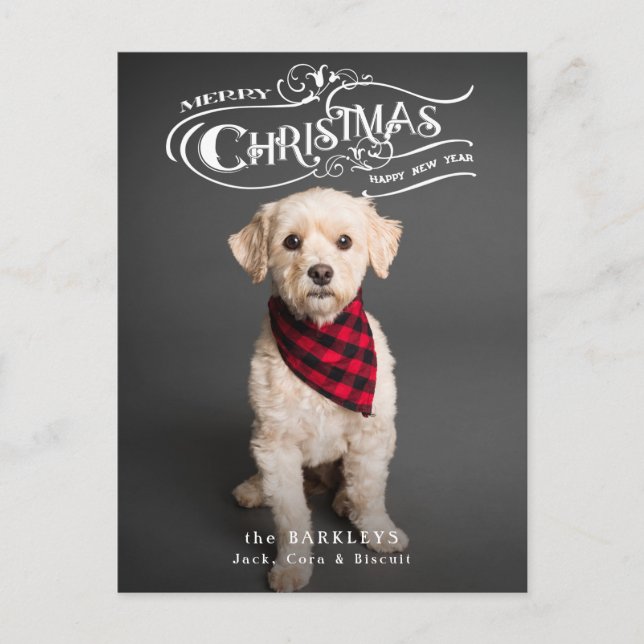 Custom Ornate Christmas Typography  Pet Photo Holiday Postcard (Front)