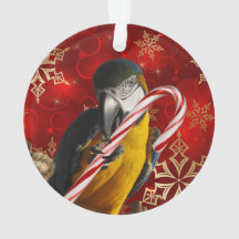 Custom Parrot Photo Ornament Front and Back